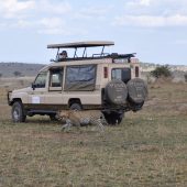  The Serengeti, TZ